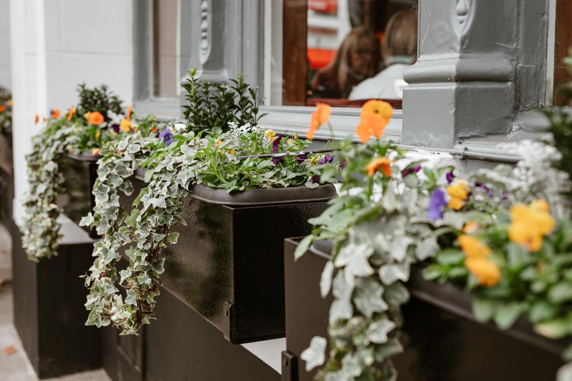 Hand & Flower London Bagian luar foto